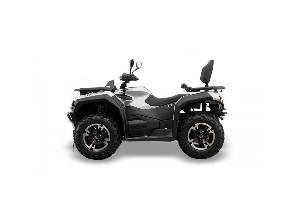 550 L -V1 HISUN Guardian 550L
